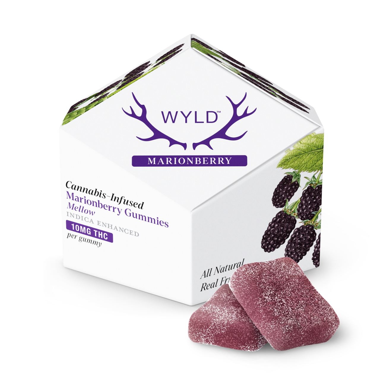 WYLD D9 Marionberry 1:1 Indica Gummy (Hybrid)